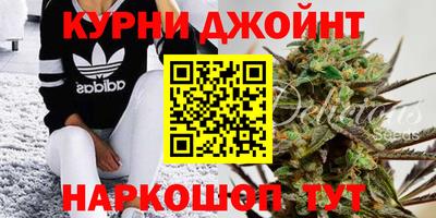 стаф Брянск