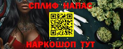 стаф Брянск