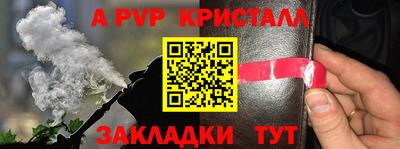 стаф Брянск