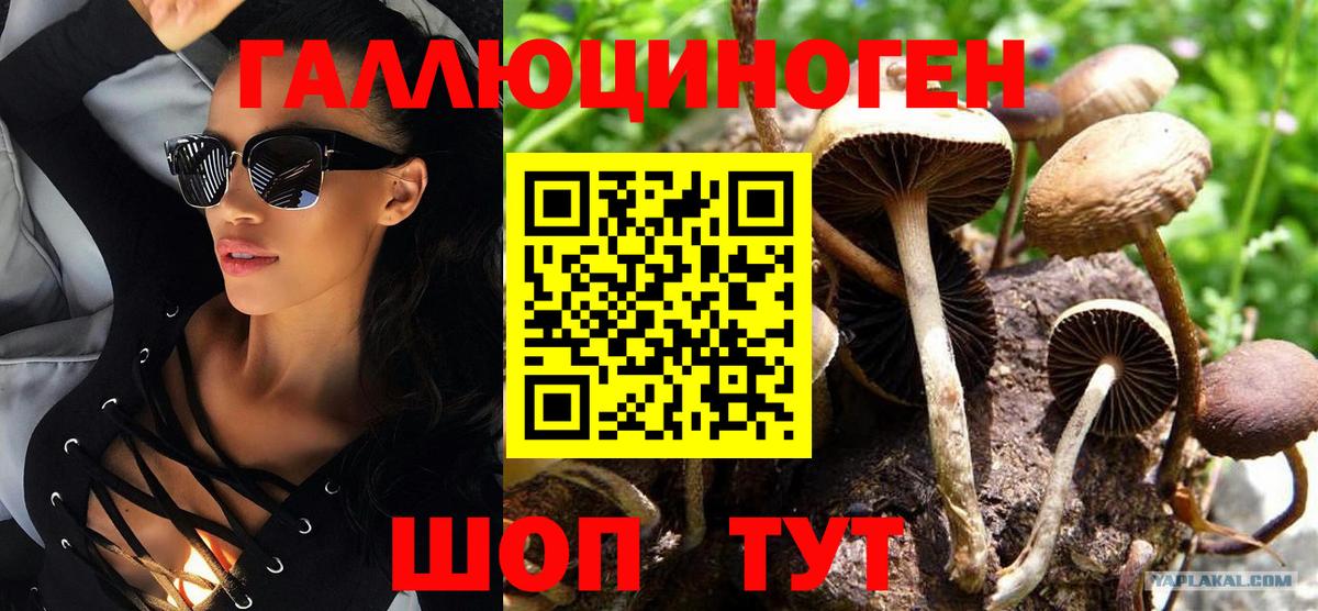 Галлюциногенные грибы Cubensis Кинешма
