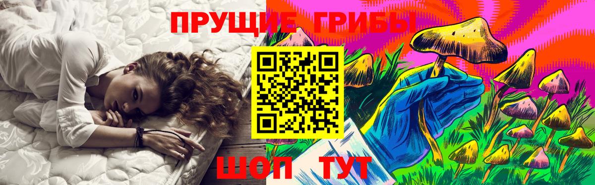 Галлюциногенные грибы GOLDEN TEACHER  Вход с VPN  Кинешма  Псилоцибиновые грибы Cubensis 